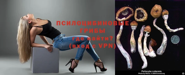 стафф Алзамай