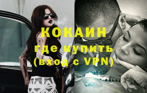 стафф Алзамай