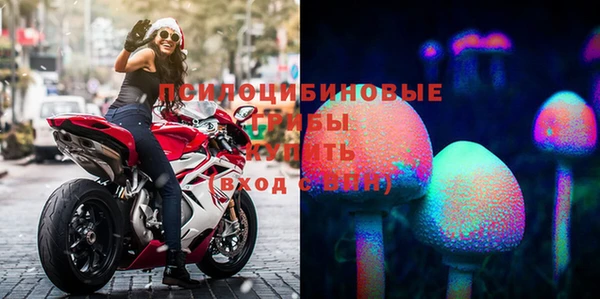 стафф Алзамай