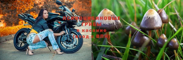 крисы Алексин