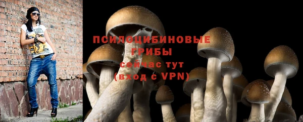стафф Алзамай