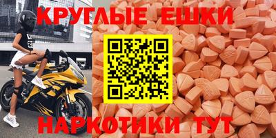 стаф Владимир