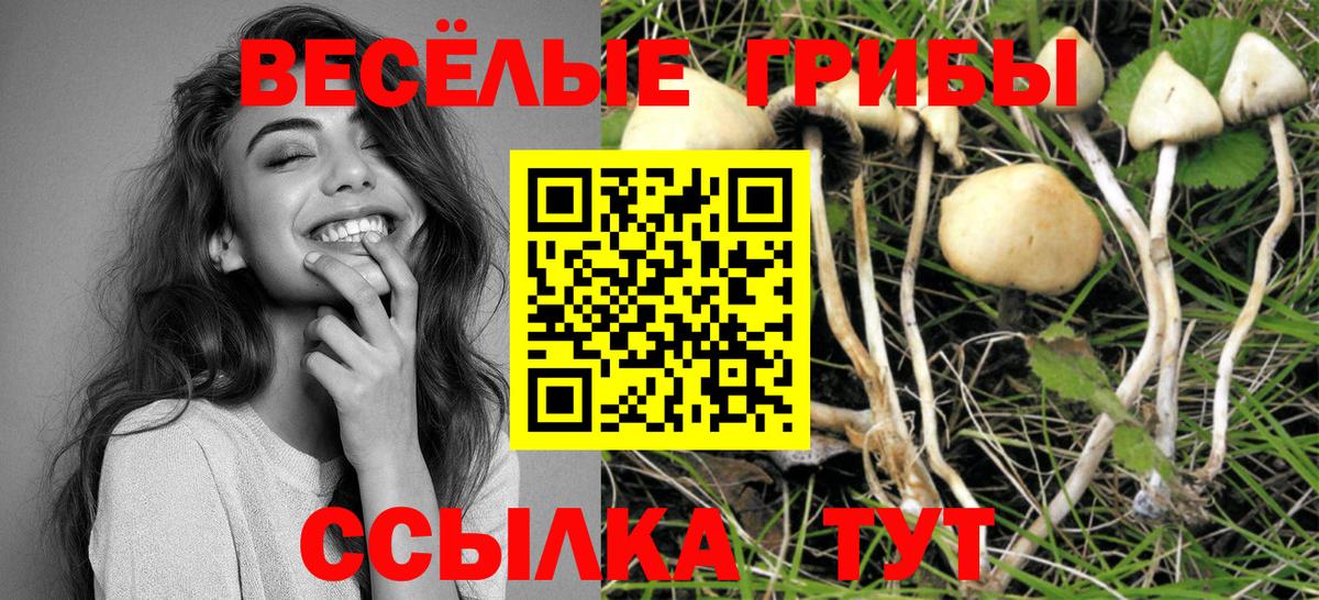 Галлюциногенные грибы мицелий  Псилоцибиновые грибы Psilocybine cubensis  Вход с VPN  Кондопога 