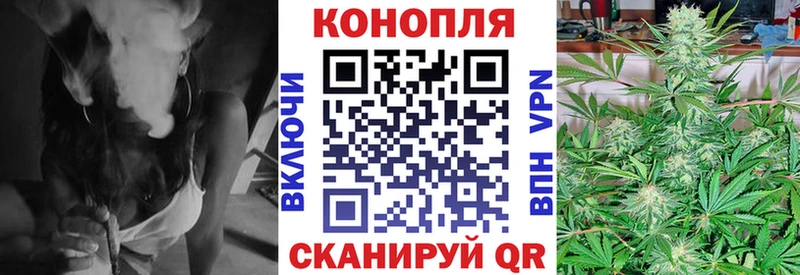 МАРИХУАНА сатива Кондопога